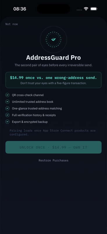 AddressGuard Pro paywall with lifetime option first